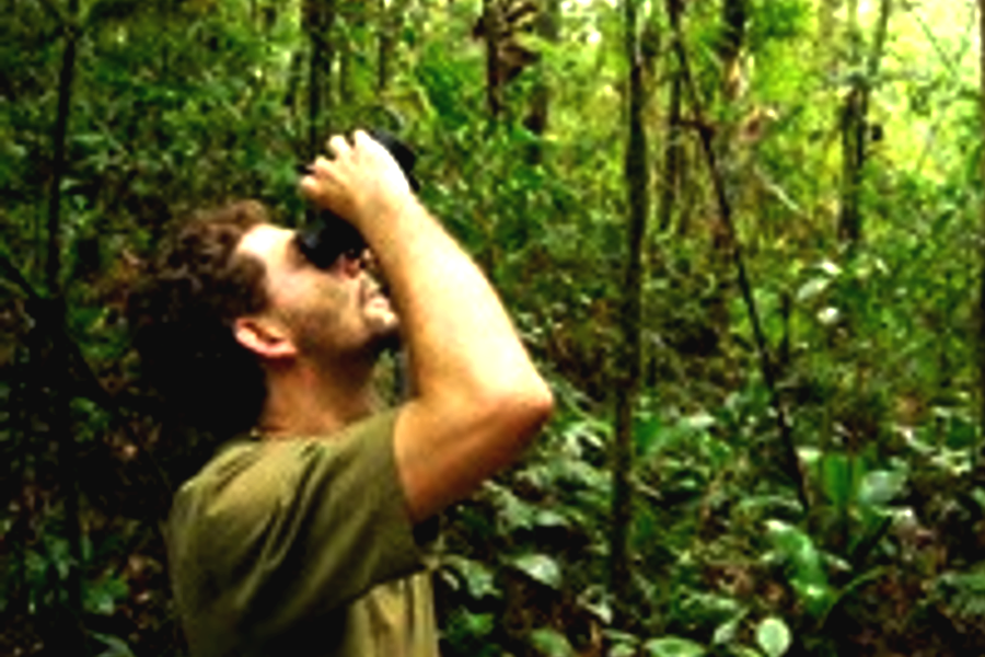 Consultoria Ambiental e Sustentabilidade26