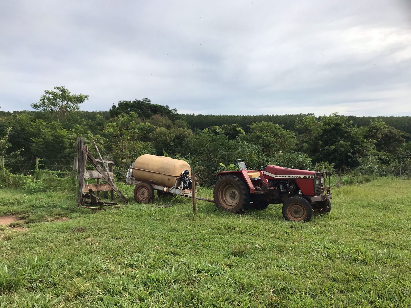 Consultoria Ambiental e Sustentabilidade31