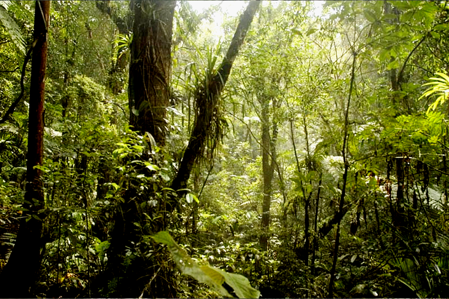Consultoria Ambiental e Sustentabilidade35