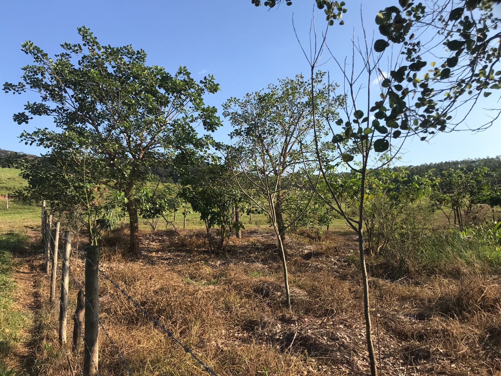 Consultoria Ambiental e Sustentabilidade36