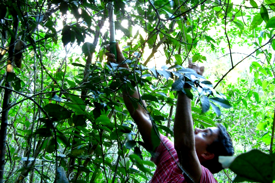 Consultoria Ambiental e Sustentabilidade38