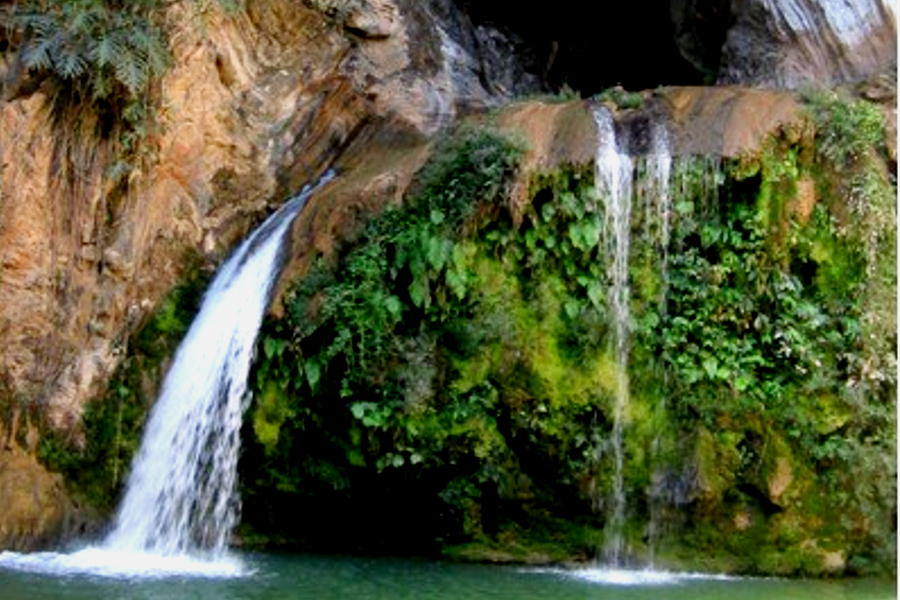 Consultoria Ambiental e Sustentabilidade41