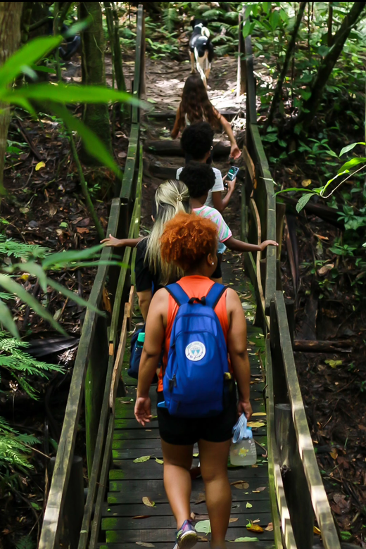 Consultoria Ambiental e Sustentabilidade44