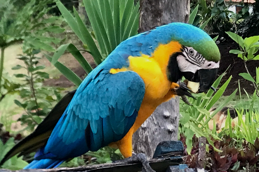 Consultoria Ambiental e Sustentabilidade49