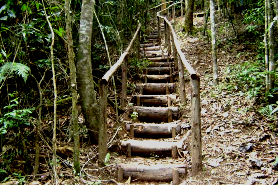 Consultoria Ambiental e Sustentabilidade51