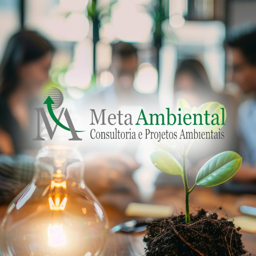 Consultoria Ambiental e Sustentabilidade52