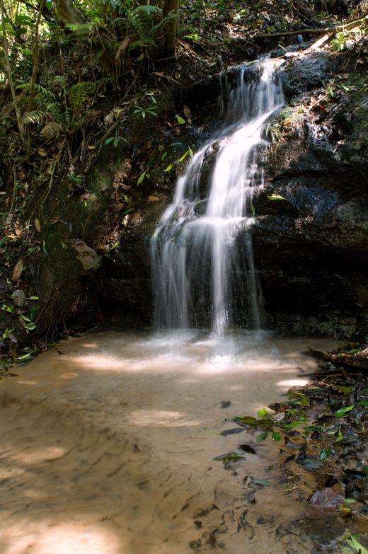 Consultoria Ambiental e Sustentabilidade64